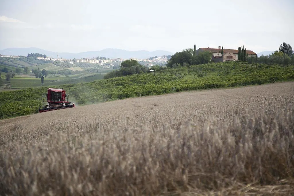 农家乐 切雷托圭迪Tenuta Di Colle Alberti Agriturismo别墅